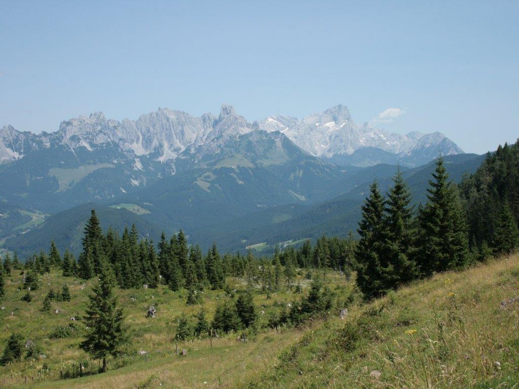 Appartement Waldhaus à Sankt Martin am Tennengebirge Extérieur photo